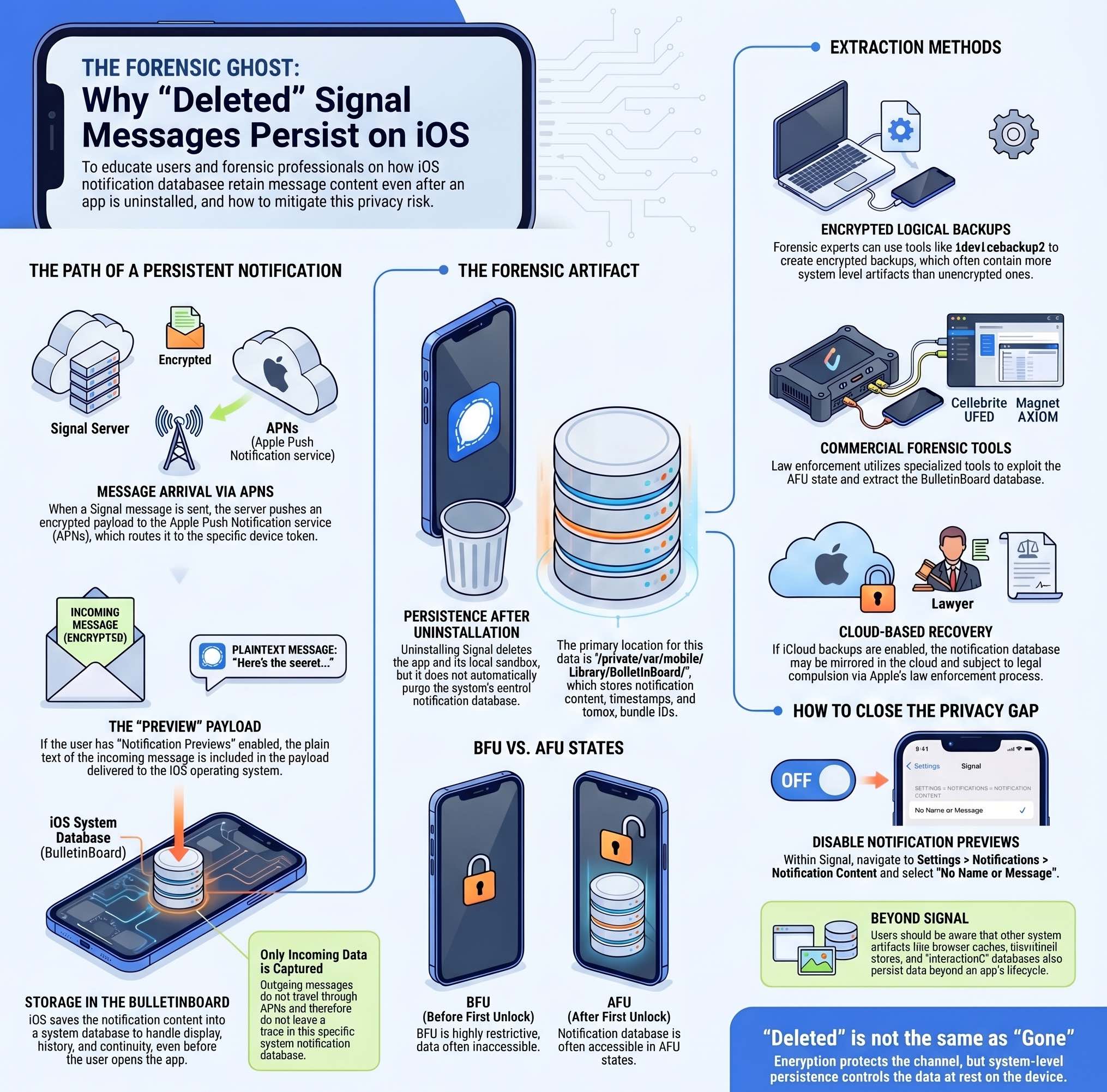 infographic